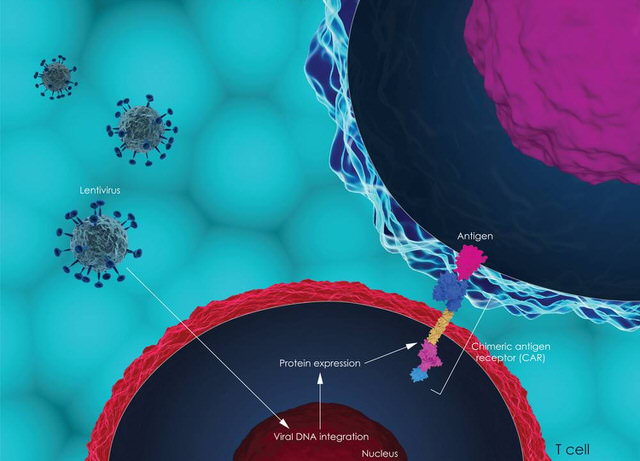 CAR-T cell therapy