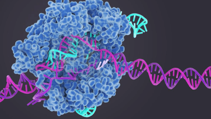 CRISPR CAS9 Gene editing